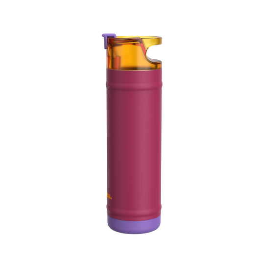 bubba 24 oz DualSip Insulated Stainless Steel Water Bottle - Locker Love - US 8516